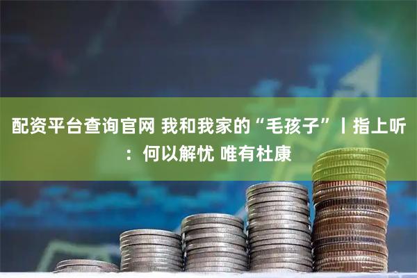 配资平台查询官网 我和我家的“毛孩子”丨指上听：何以解忧 唯有杜康