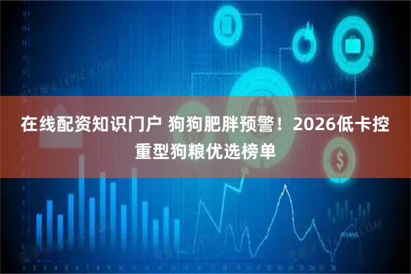 在线配资知识门户 狗狗肥胖预警！2026低卡控重型狗粮优选榜单
