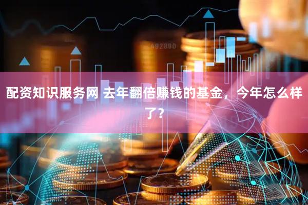 配资知识服务网 去年翻倍赚钱的基金，今年怎么样了？